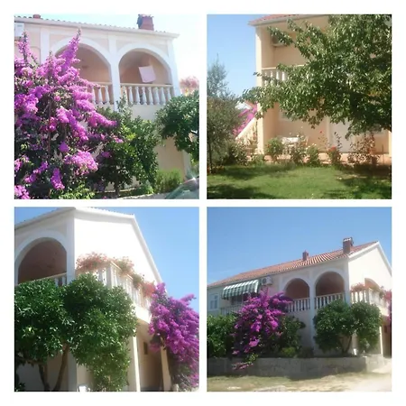Nena Apartman Bibinje
